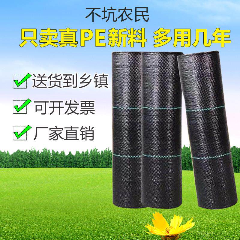 果园地布新pe防草布除草布耐用透水果树专用钻孔菜地黑色除草地膜