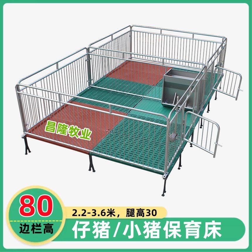 仔猪保育床 小猪保育床 单双体全复合保育床(母猪产床 定位栏