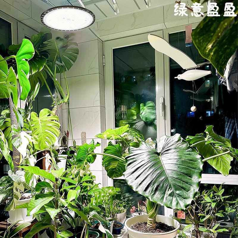 彷太阳光模拟灯全光谱植物补光灯阳台室内养兰花卉月季植物生长灯