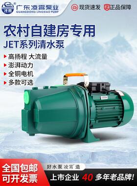 广东凌霄水泵JET150家用自吸泵喷射泵水塔抽水机井水抽水泵JET100