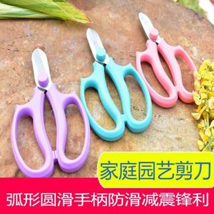 .园艺修枝剪花艺剪刀家用修花修枝多肉剪盆景盆栽加厚锋利插花剪