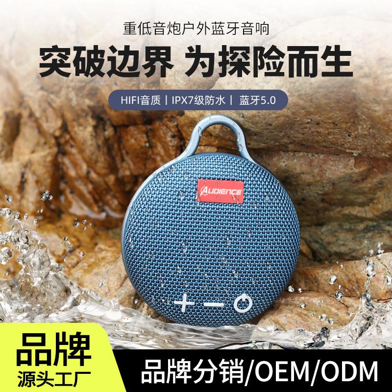 audience B-10Audience户外便携式IPX7防水无线蓝牙音箱插卡低音