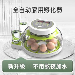 厂家直销孵化器小型家用迷你孵化机智能全自动鸟蛋芦丁鸡孵蛋箱