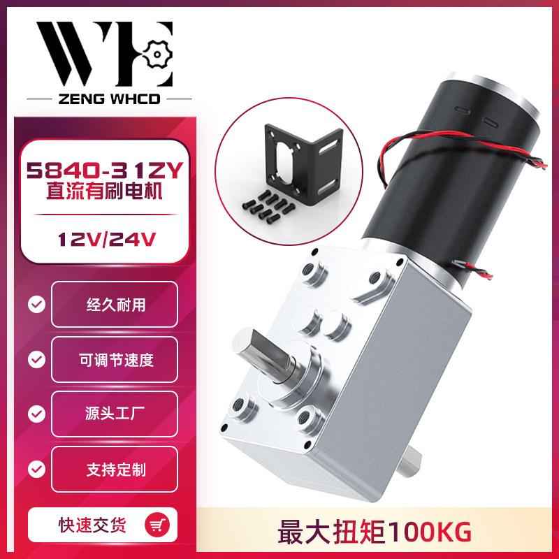 5840-31ZYS涡轮蜗杆减速电机 双输出轴减速马达 窗帘机广告牌马达