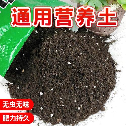 草莓营养士草莓专用土草莓基质通用型花土室内阳台盆栽种植瓜果土