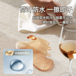 地垫茶几地毯客厅毯大面积耐脏茶几桌垫卧室轻奢高级家用地毯垫子