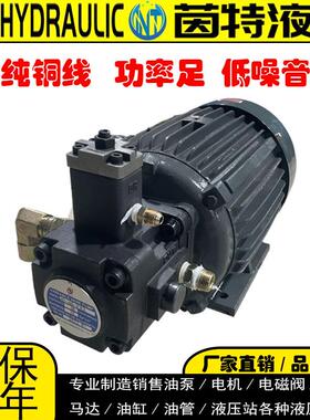 液压油泵0.75KW1.5KW2.2KW+VP15VP20VP30内轴电机泵组液压站配件