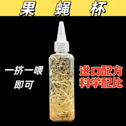 果蝇杯活体饲料螳螂跳蛛饲料大果蝇树蛙馒头蛙食物
