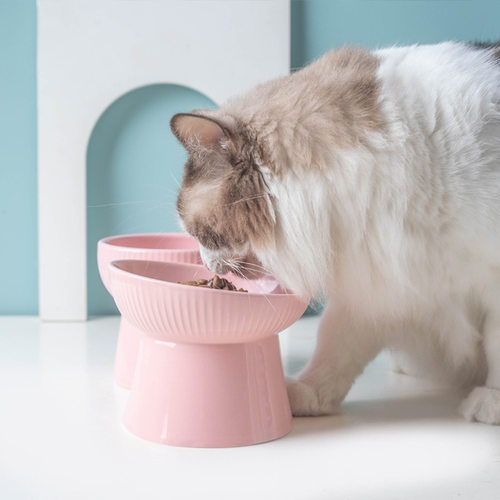 陶瓷猫碗狗碗可爱斜口单碗猫盆护颈高脚碗狗盆防打翻猫咪用品