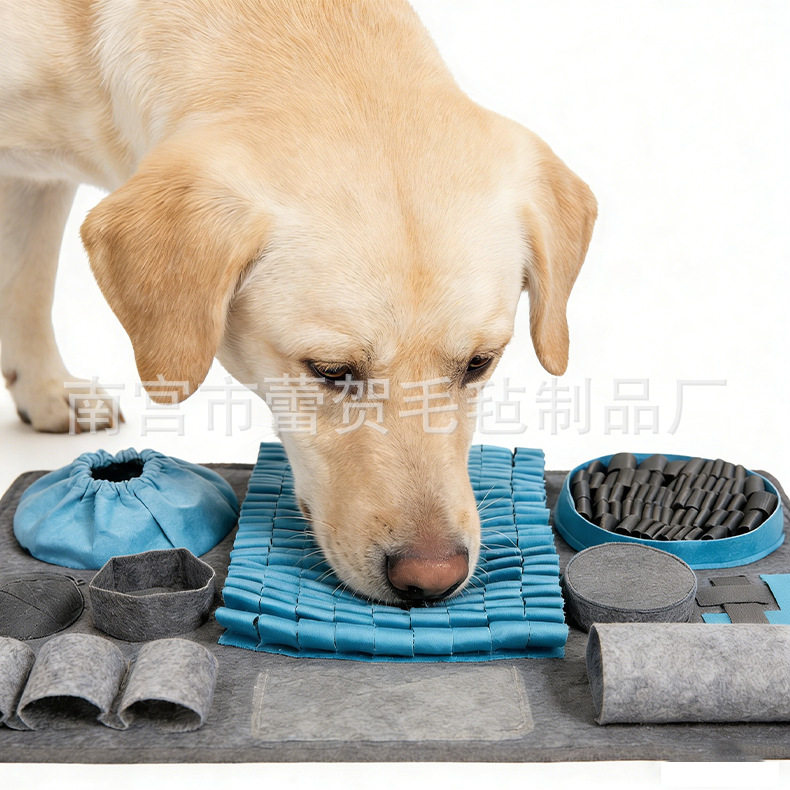 宠物狗闻嗅垫觅食训练防