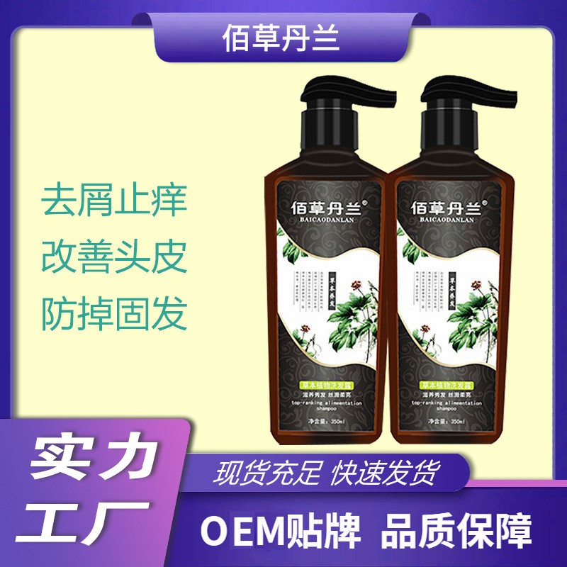 源头工厂持久留香护发老姜王洗发水控油去屑止痒蓬松现货