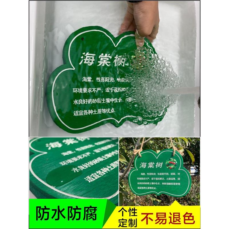 热销植树节树木挂牌花木介绍牌植物品名吊牌幼儿园认养防腐标识牌