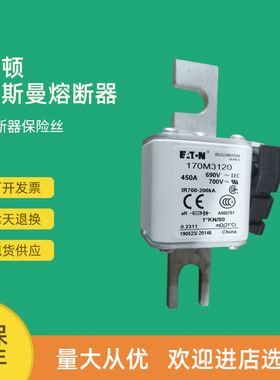 全新快速熔断器保险170M3141 170M3142 170M3143 170M3144