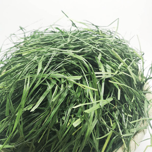2022新烘干全叶南提兔子提摩西草兔兔龙猫豚鼠干草牧草500g