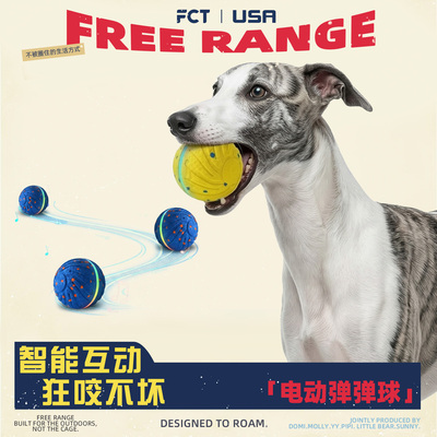 咬不坏的电动弹弹球！