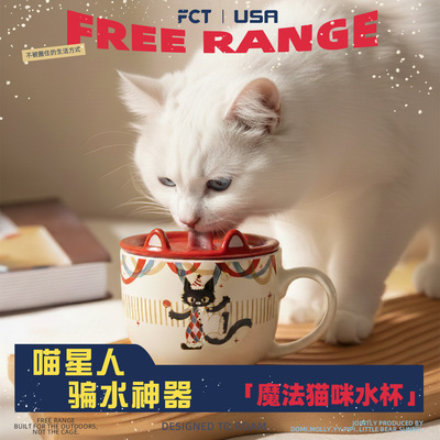FCT美国品牌猫咪陶瓷饮水杯人宠共用养猫新手必备饭粮水碗食盆