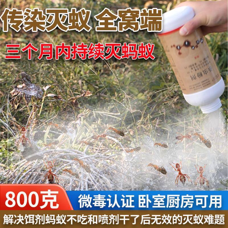 蚂蚁药家用白红火蚁防治专用一全窝端非无毒室内户外杀蚁传染粉剂