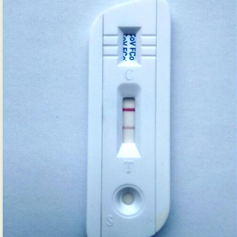 沃德宠物猫冠状传染性腹膜炎FCoV FIPV猫瘟试纸FPV检测卡套装