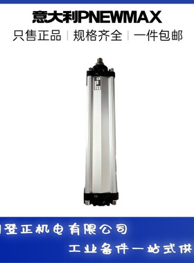 PNEWMAX气缸1515.50.200.60G