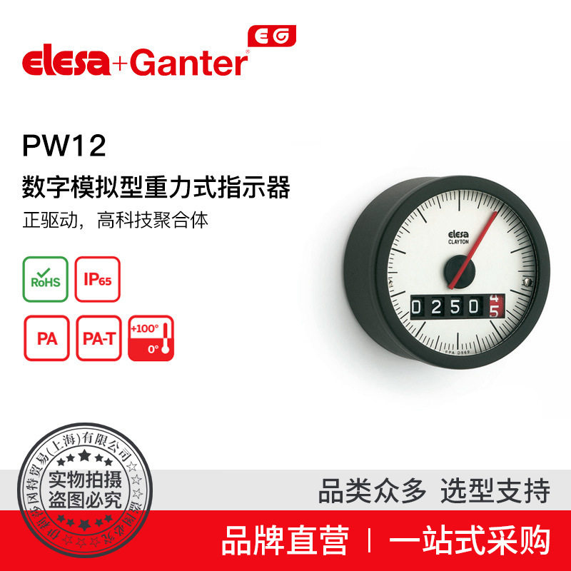 Elesa Ganter伊莉莎冈特 PW12 数字模拟型重力式指示