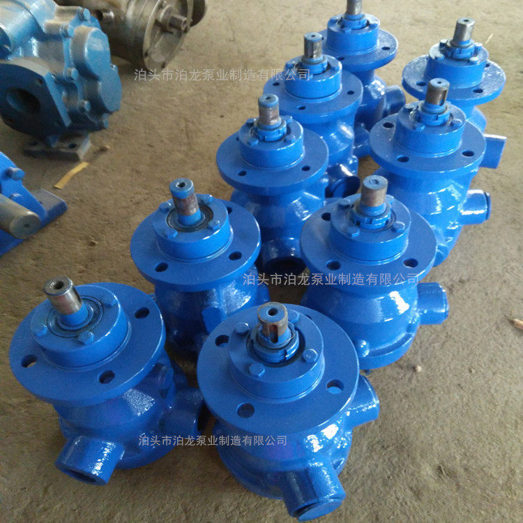 供应 皂荚用NCB转子泵 法兰式铸铁转子泵 NCB高粘度油泵厂家