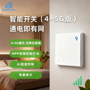 洲远4G～5G智能开关手机语音远程控制无需路由无需中枢网关免配置