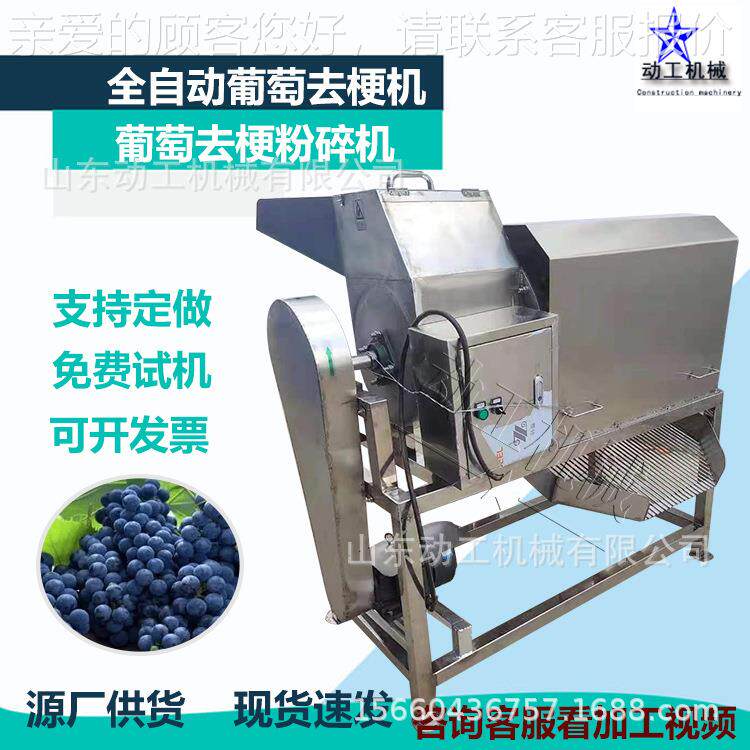大型葡萄去梗机 工业葡萄除梗破碎机 商用葡萄摘梗去皮去籽打浆机