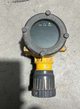 {议价}气体检测仪ES2000T