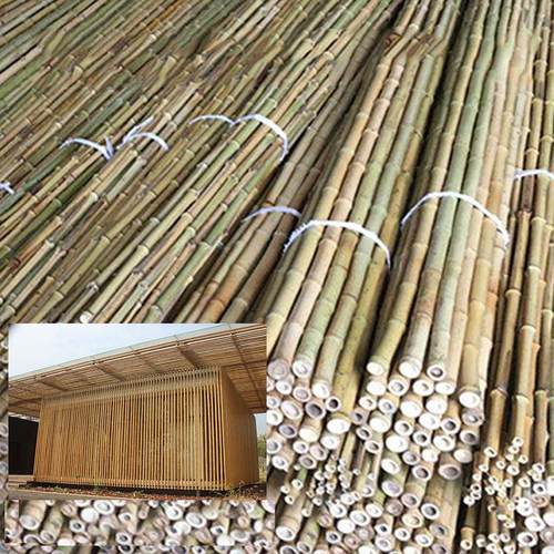 花园装饰用竹竿10米庭院装修装潢竹杆楠竹防腐防虫竹子安吉竹乡