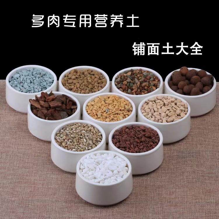 肉肉盆栽铺面石火山石营养土养花通用铺面介质园艺栽培基质泥炭土
