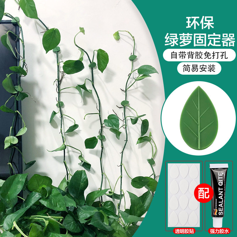 极速绿萝固定器绿植爬墙稳定器园其它园艺用品
