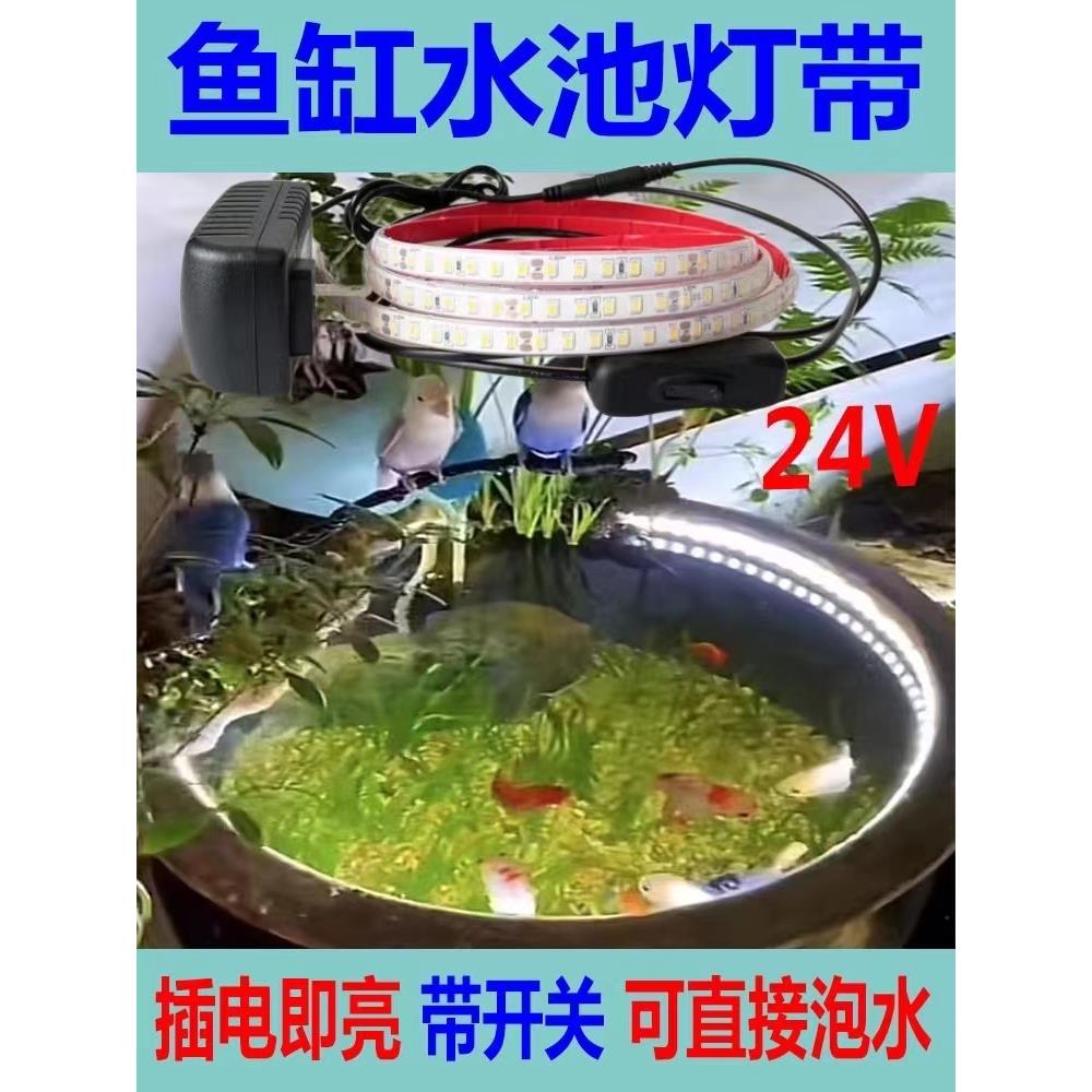 鱼缸专用灯带防水池24V泡水水LED实心灌胶水下照明低压灯带条自粘