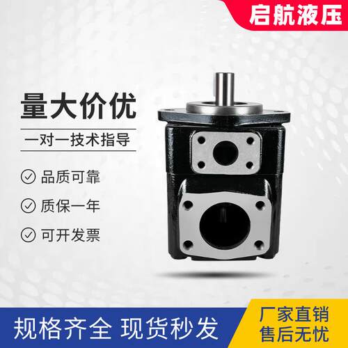 派克丹尼逊T7DDS E42 1R00 A1M0高压双联叶片泵T7DS伺服泵电动