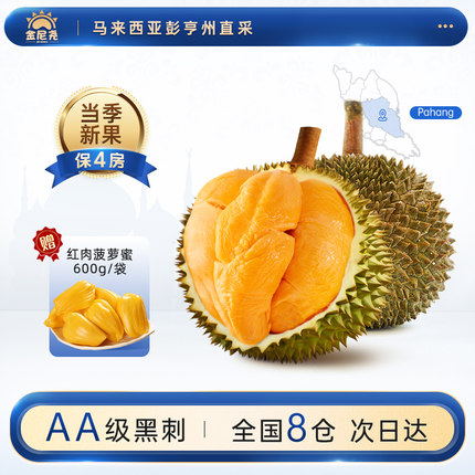 金尼尧黑刺榴莲D200马来西亚进口 冷冻榴莲 液氮新鲜榴莲整果包邮