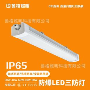 鲁格大功率led支架灯超高亮防水防爆冷库车间耐低温一体长条照明