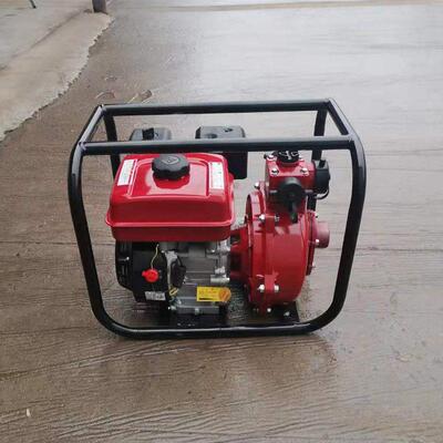 防汛排涝移动抽水泵小型便携式灌溉排涝泵农用高扬程汽柴油机泵