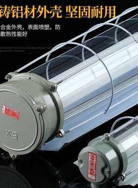 爆型T8日光灯厂房LED防爆灯防潮隔40仓库荧光灯w单管1x双管垒德株