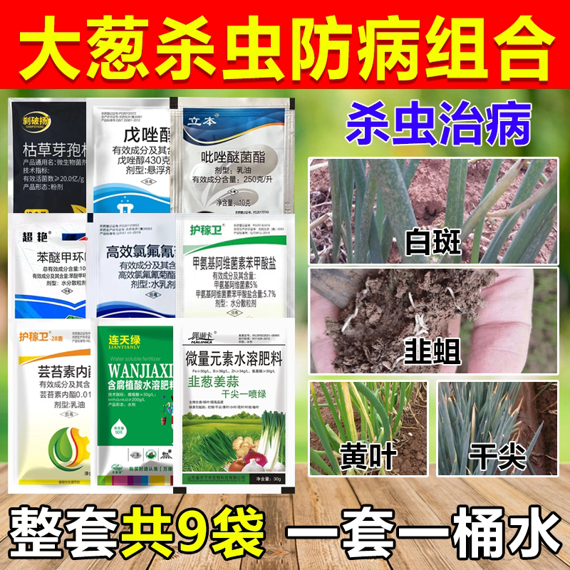 大葱专用药大葱干尖黄叶专用套餐