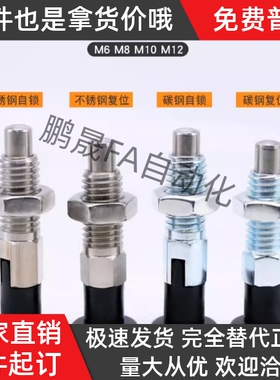 分度销ZAG43 ZAG34 ZAG44-M8 M8A M10 M10A M12 M12A M16 M16A M6