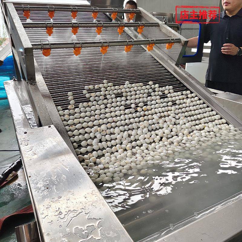 全自动鹌鹑蛋洗蛋机不锈钢水槽上蛋机商用鹌鹑蛋清洗机