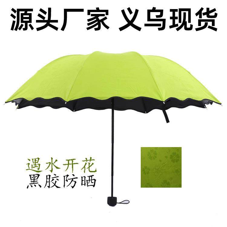 荷叶边遇水开花晴雨伞厂家黑胶强防紫外线遮阳伞太阳伞创意三折伞