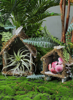 环创材料仿真植物微景观庭院幼儿园自然角家居摆件花园户外摆设