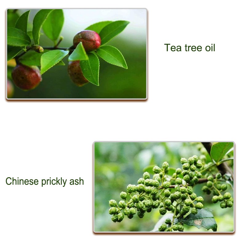 Nail Fungal atment Repair Essence Serum Paronychia Onychomyc