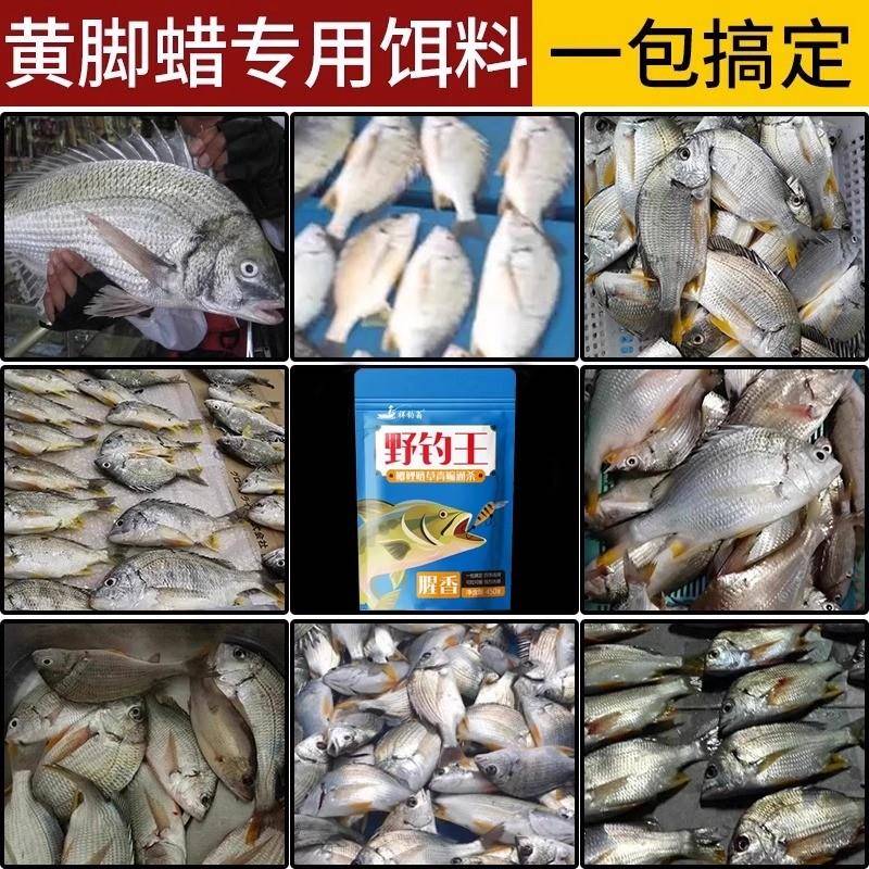 黄脚腊饵料海钓黑黄翅立鲷浅海域野钓主攻黄鳍鲷鱼专用鱼饵添加剂
