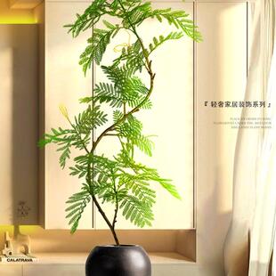 绿植装饰摆件落地大型客厅入户玄关电视柜旁边室内盆栽蓝花楹