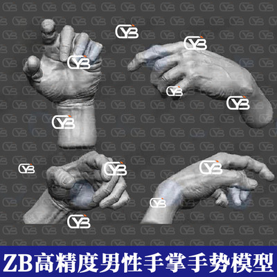 ZBrush高精度写实男性手掌3D模型多手势手模 含历史细分四边面模