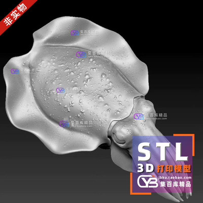 墨鱼鱿鱼写实海洋动物高精度三维立体图3D打印图纸STL文件素材