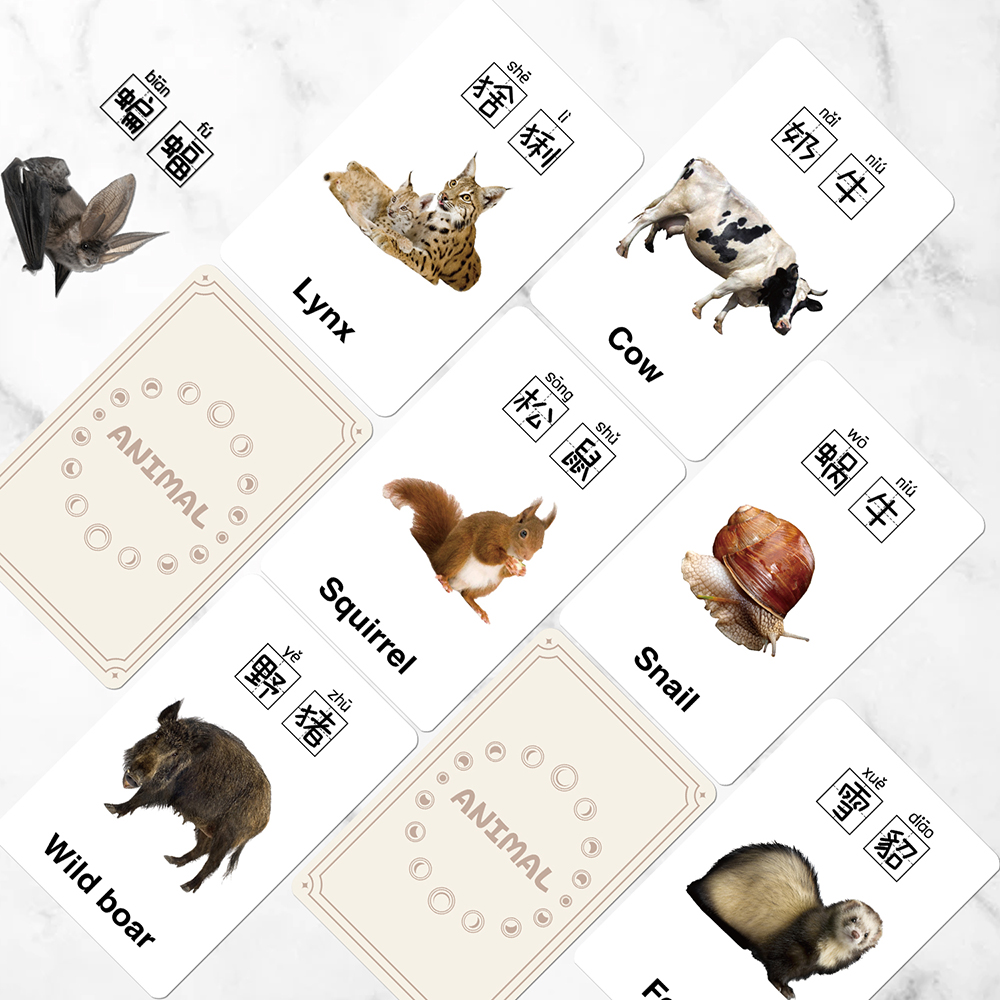 55张儿童早教认知动物小卡看图识物幼儿园小朋友启蒙学习卡片防水