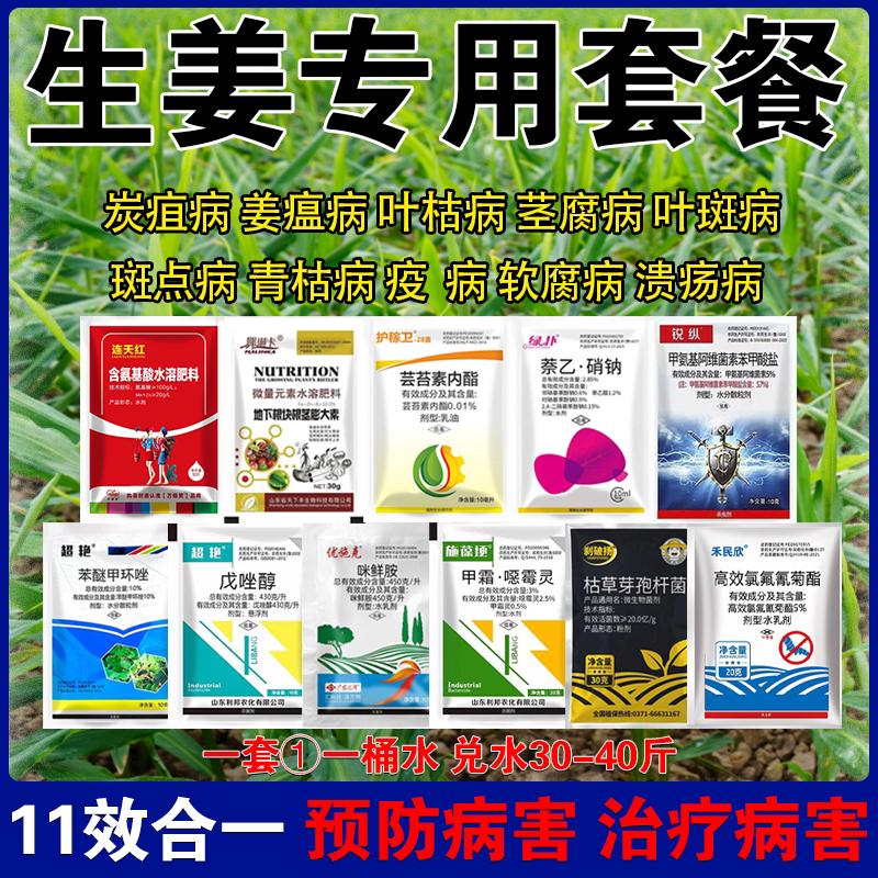 生姜专用套餐姜瘟病专用药大姜杀杀菌剂