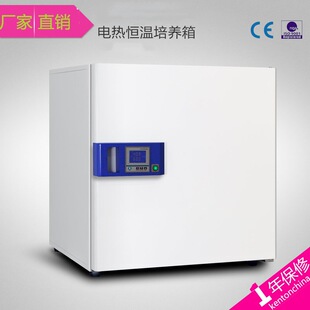 微生物培养箱 细菌培养箱 巴谢特DHP 9032电热恒温培养箱